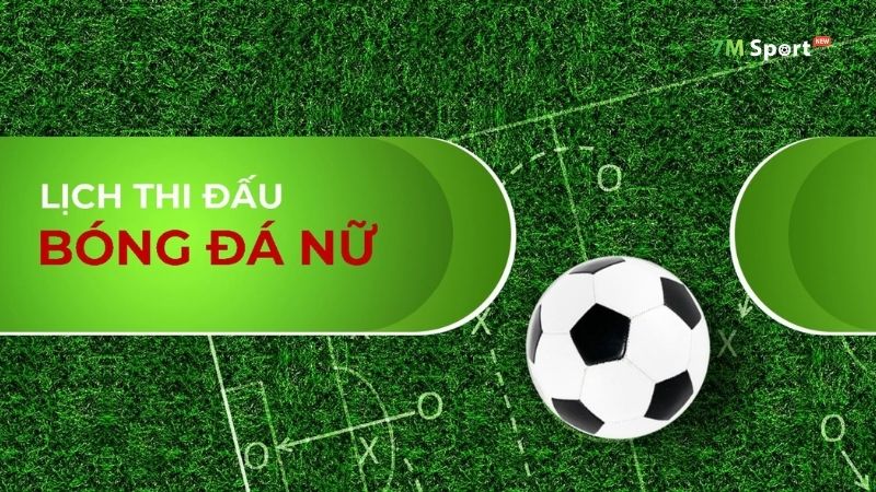 Giấy phép hoạt động của 7M - Yếu tố bảo vệ quyền lợi người dùng