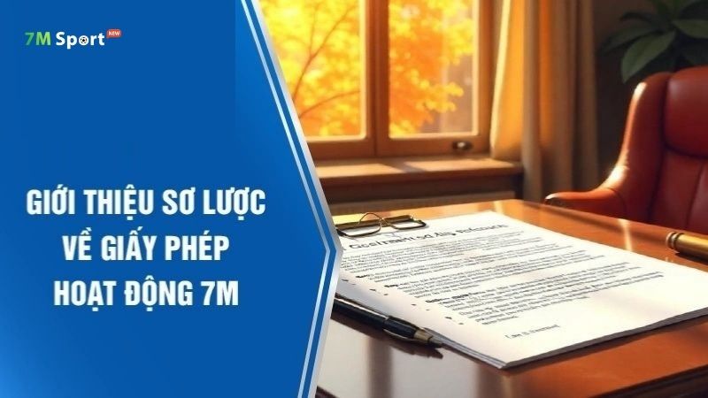 Giấy phép hoạt động của 7M
