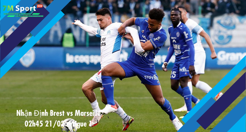 Đội hình dự kiến trước trận Brest vs Marseille Đội hình dự kiến trước trận Brest vs Marseille